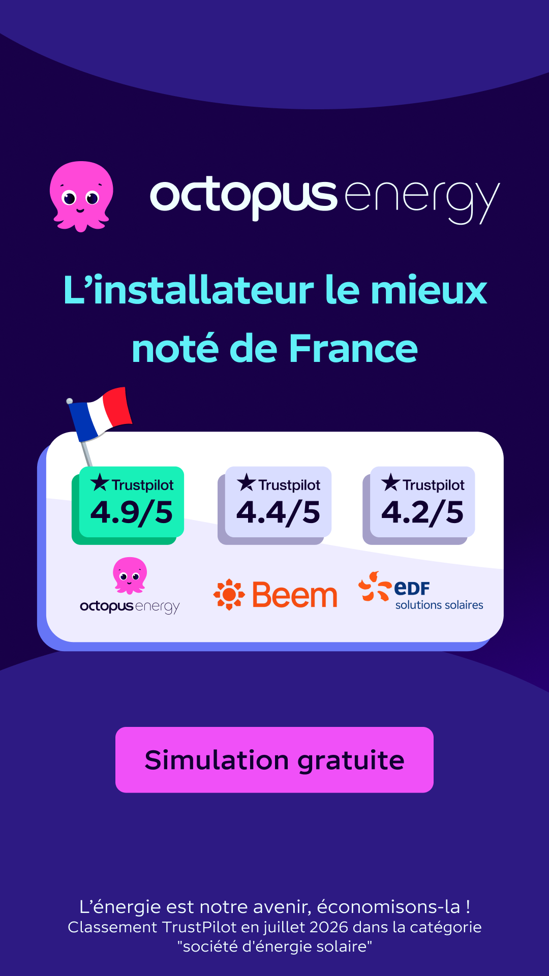 Octopus Energy Facebook ad