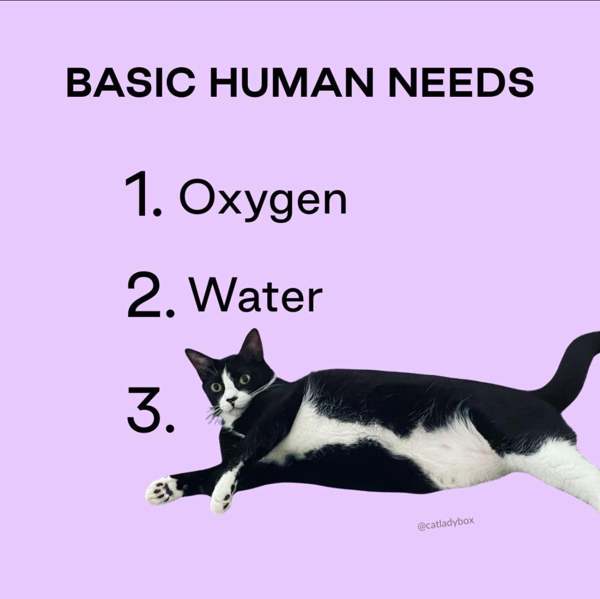 CatLadyBox Facebook ad: CatLady.com | Cat Lover Subscription Box and Gifts for Cat…