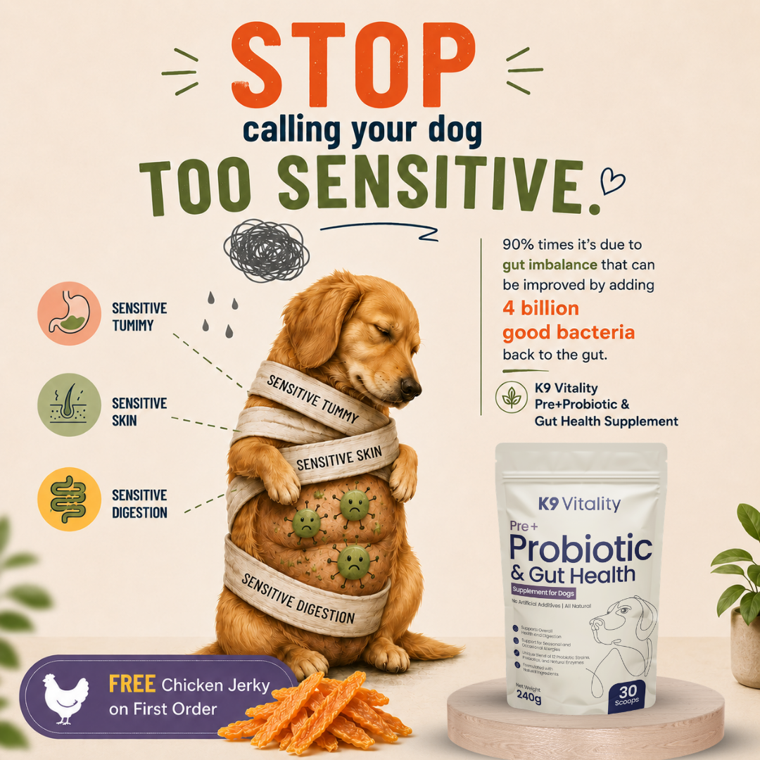 K9 Vitality Facebook ad