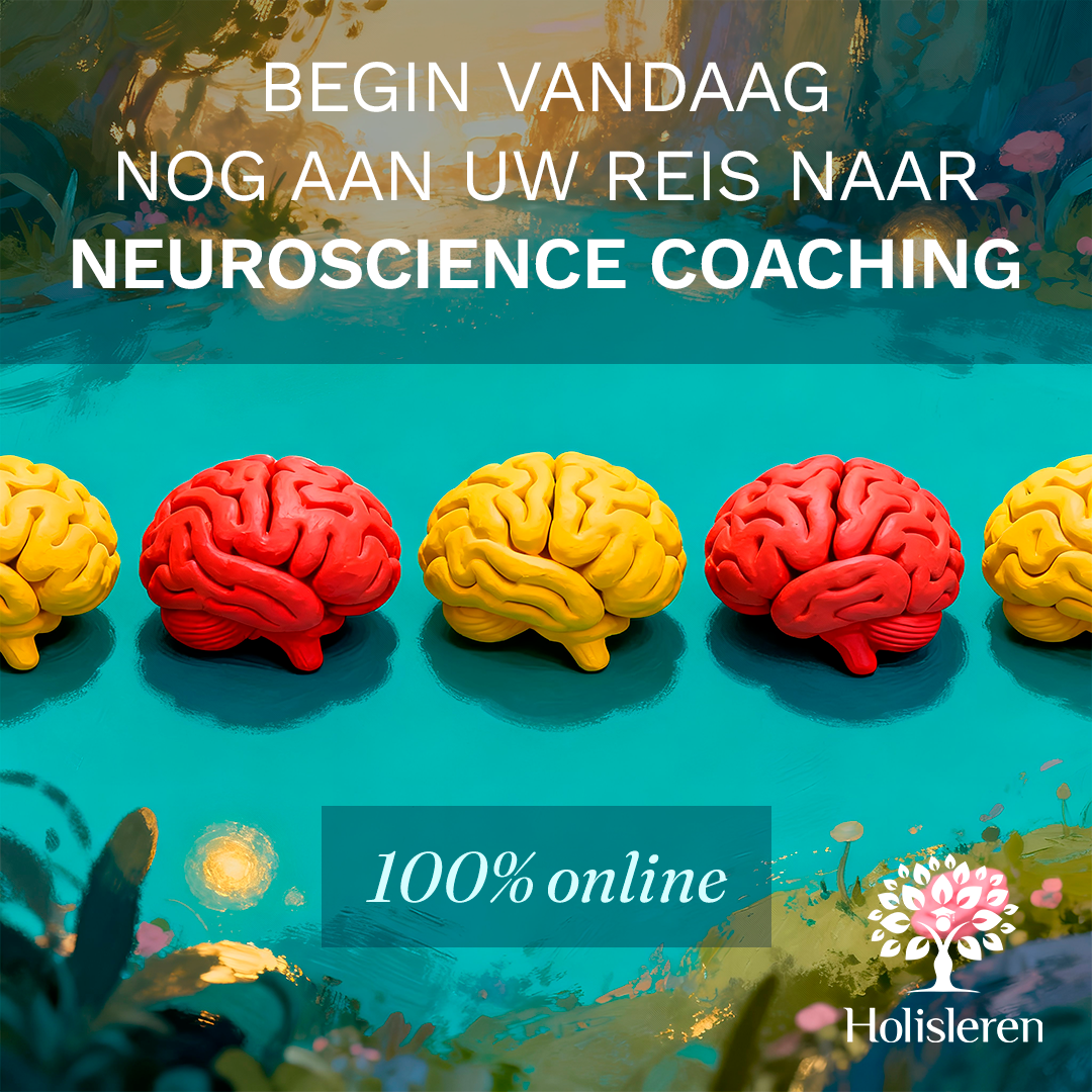 Holisleren Facebook ad