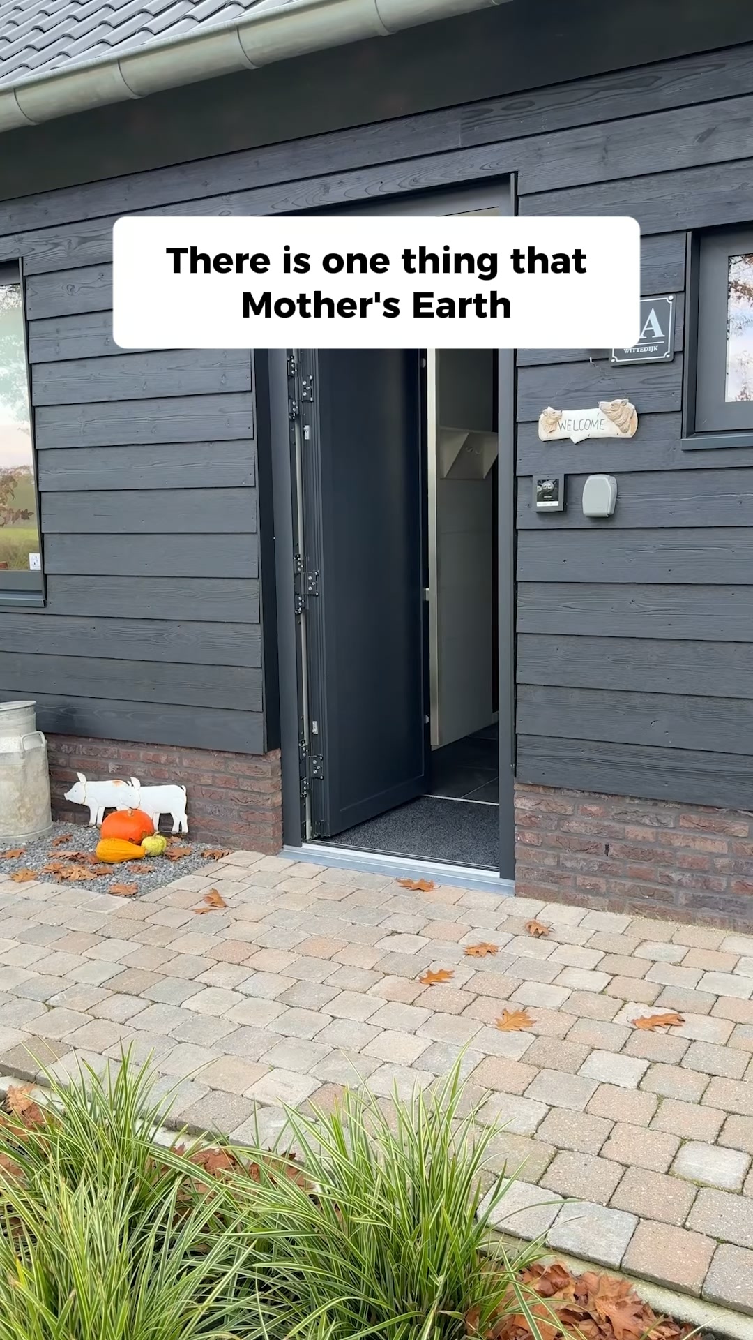 Mothers Earth Facebook ad: Try 30 Day Risk Free