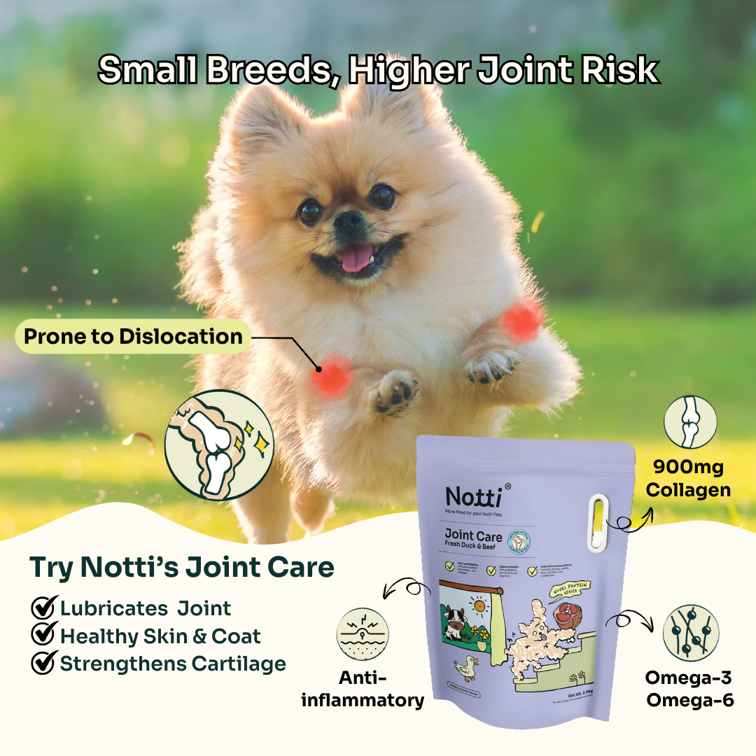 Notti Pet Food Facebook ad