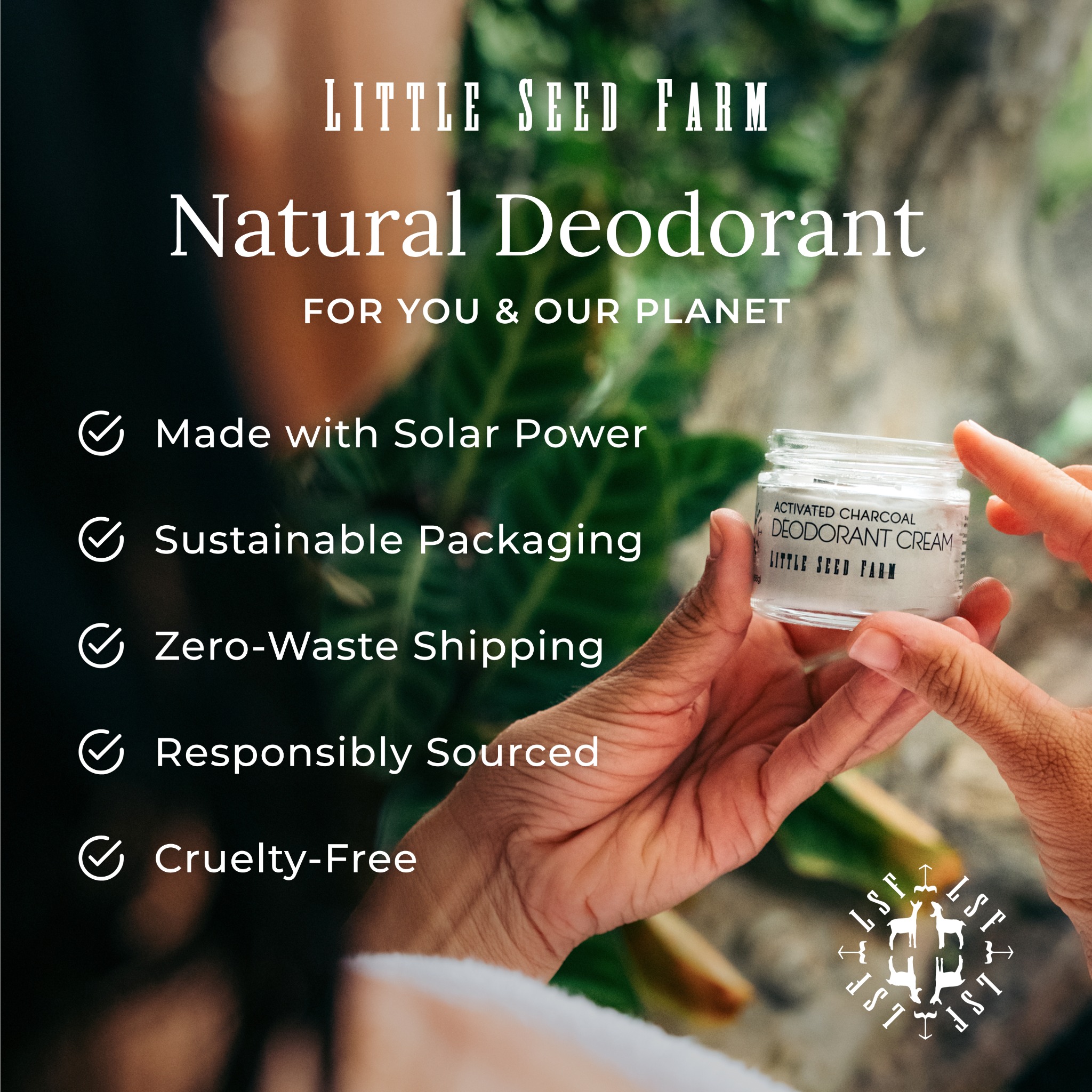 Little Seed Farm Facebook ad