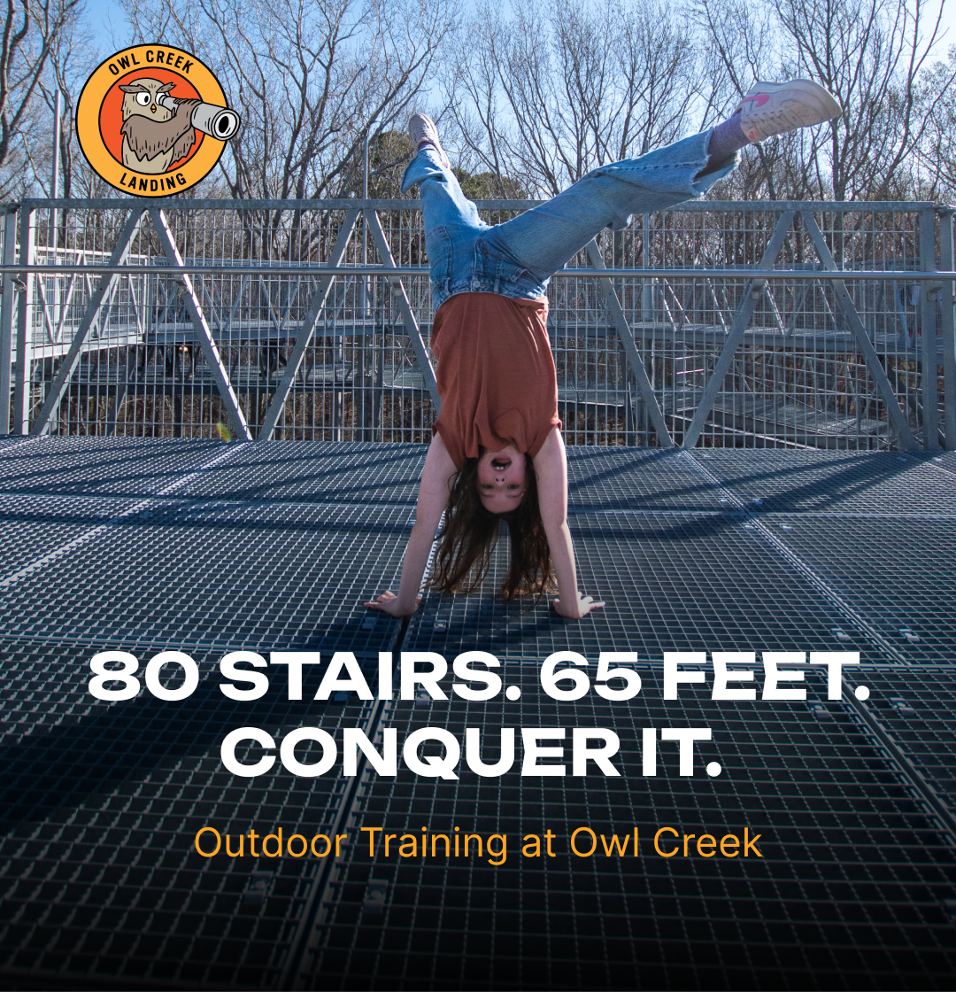 Owl Creek Landing Facebook ad from Nov 20, 2025