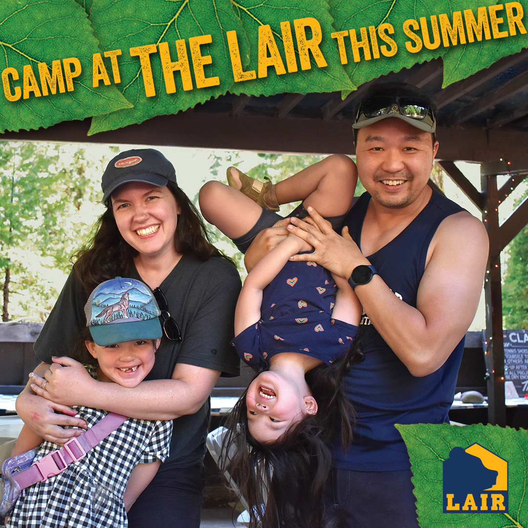 SFGATE Facebook ad: CAMP AT THE LAIR THIS SUMMER!