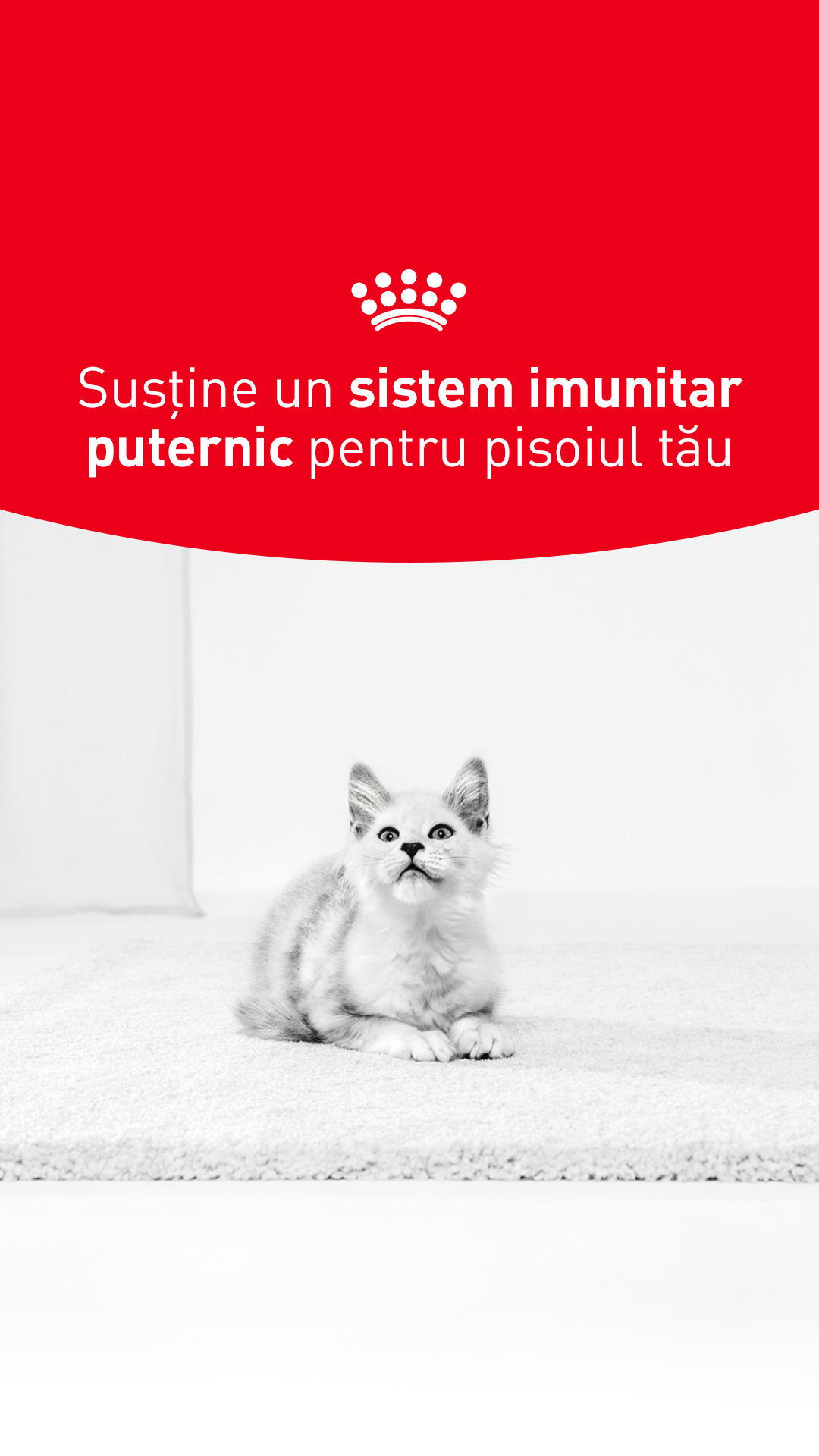 Royal Canin Facebook ad from Apr 24, 2026