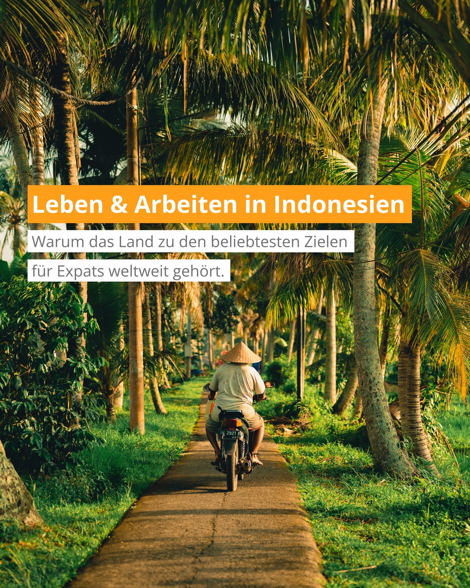 Auslandsexperte BDAE Facebook ad: Leben und Arbeiten in Indonesien, eines der beliebtesten…
