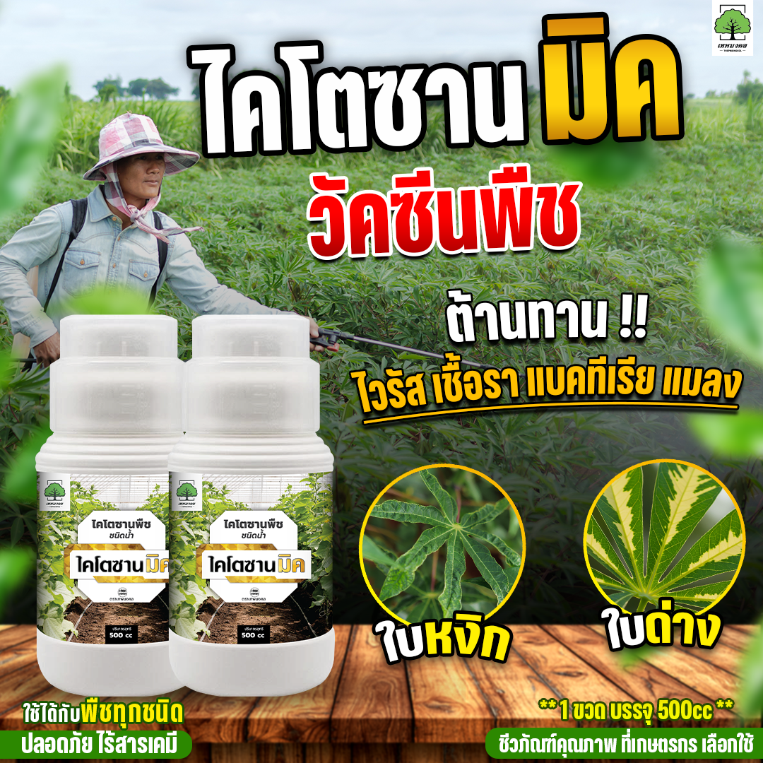 ไคโตซานมิค สูตรพรีเมี่ยม เพิ่มภูมิต้านทาน Facebook ad