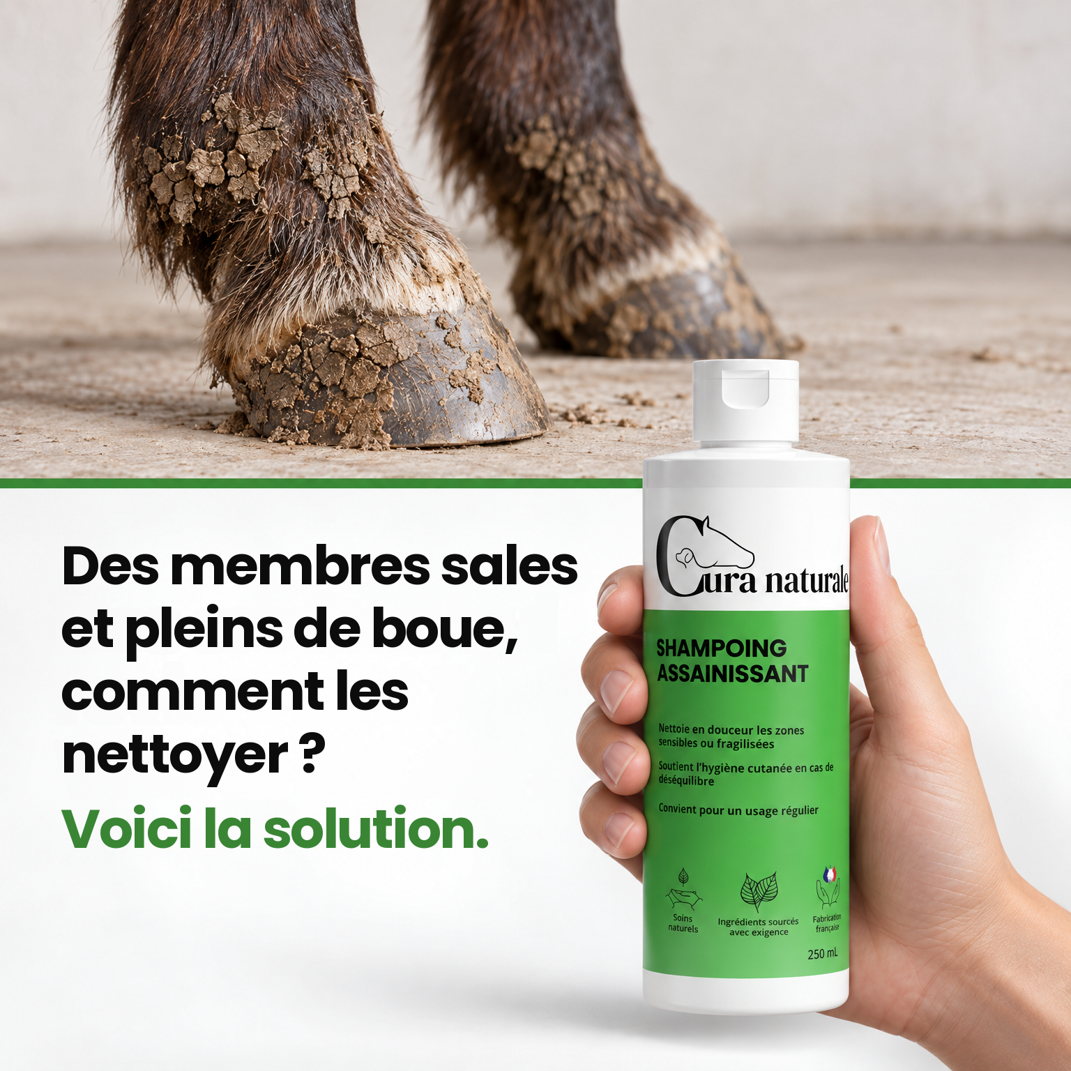 Cura naturale Facebook ad: Shampoing assainissant pour cheval · Note 4,9/5