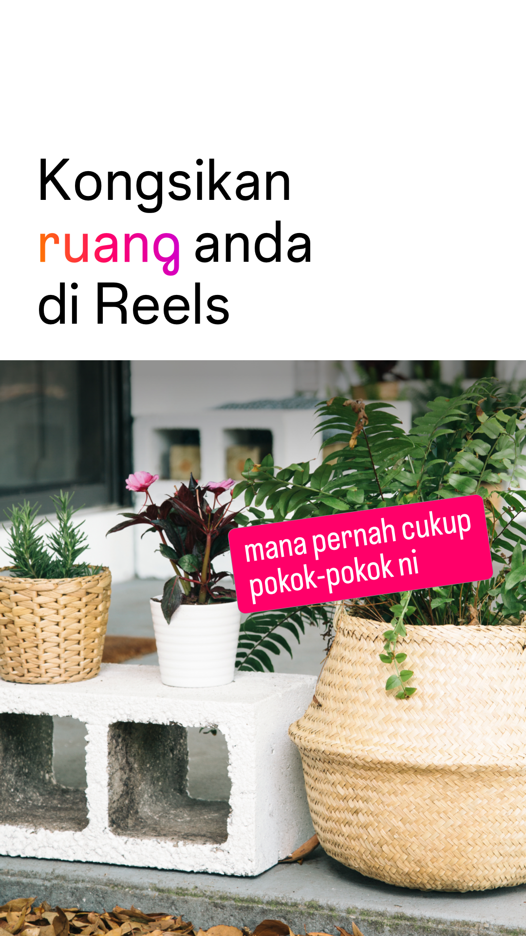 Instagram Facebook ad
