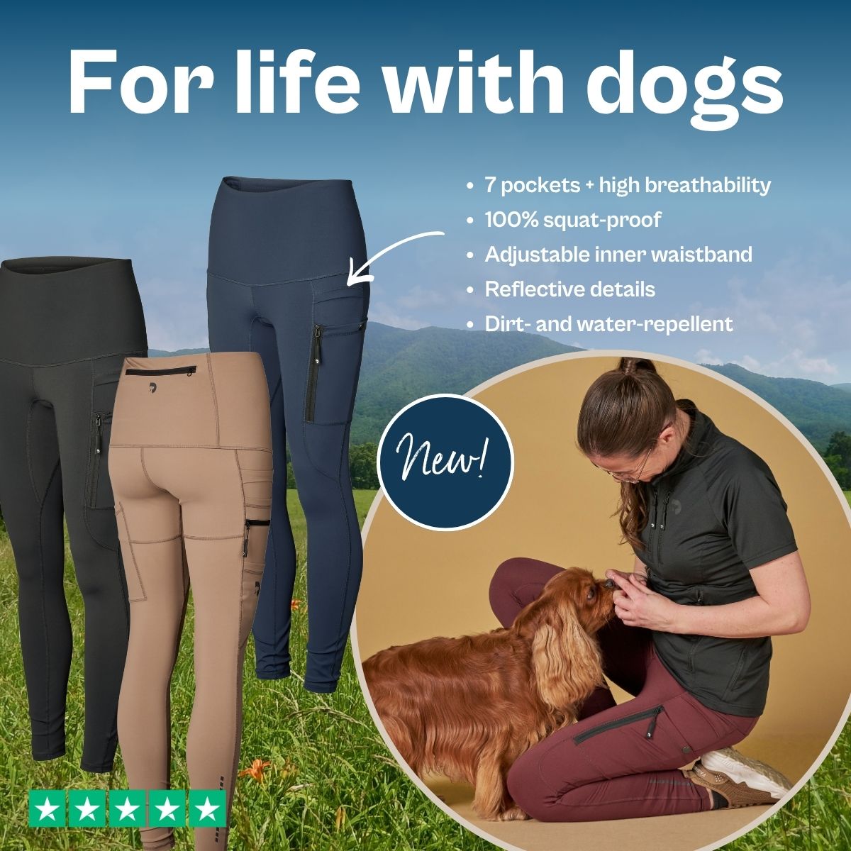 DogCoach Facebook ad