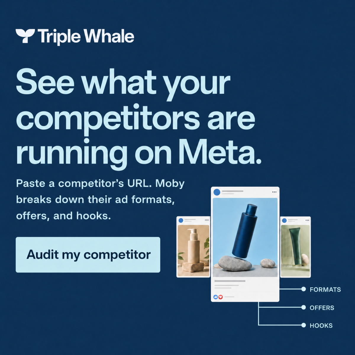 Triple Whale Facebook ad