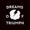 Dreams Of Triumph Clothing
