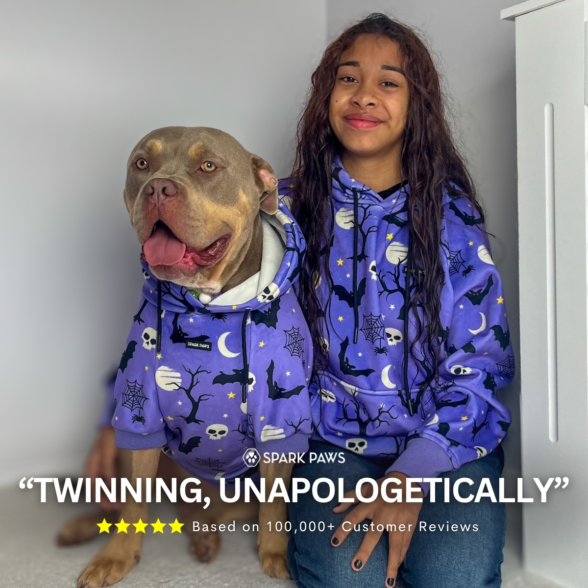 Spark Paws Facebook ad