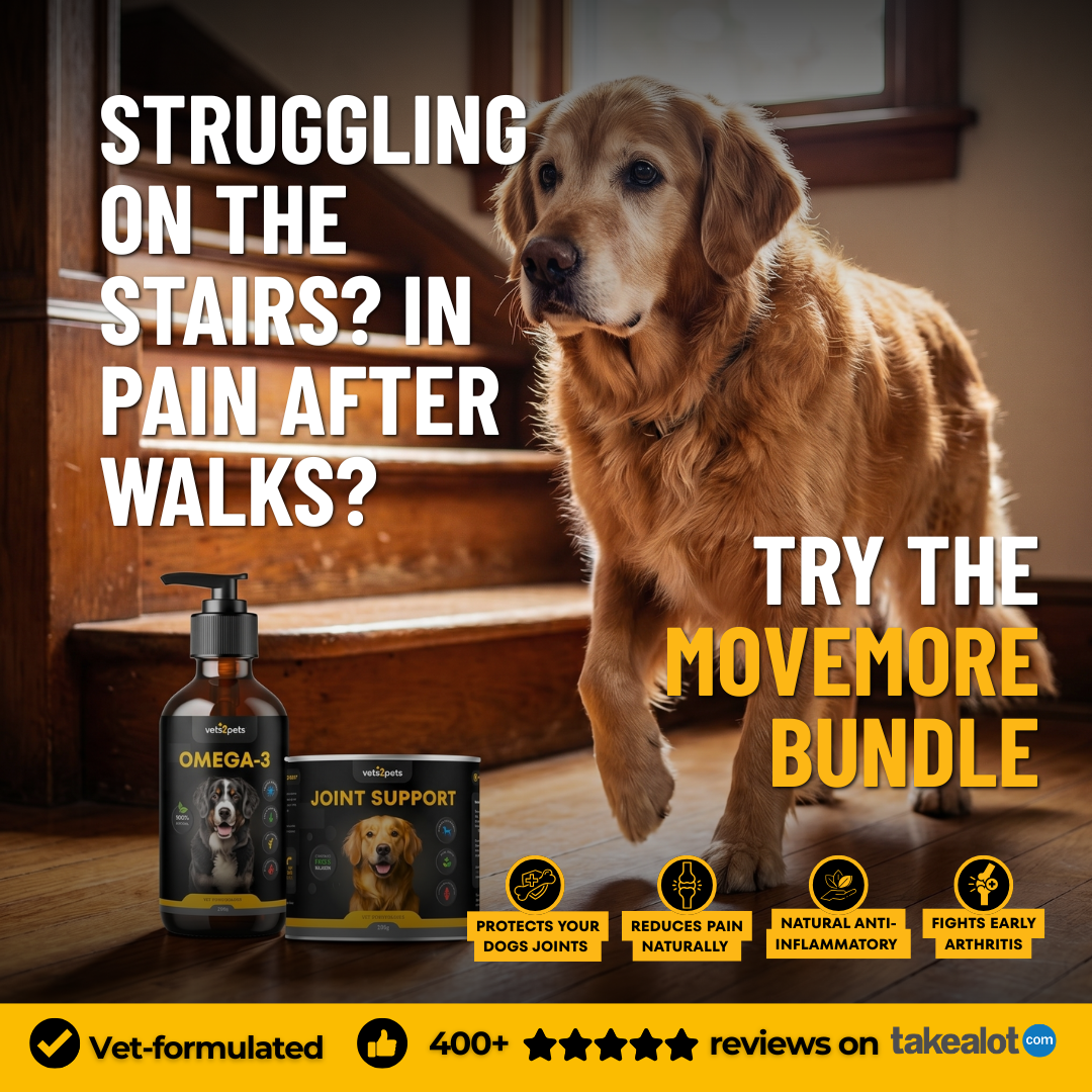 Vets2Pets Facebook ad: Arthritis is the leading cause large breeds get put down…