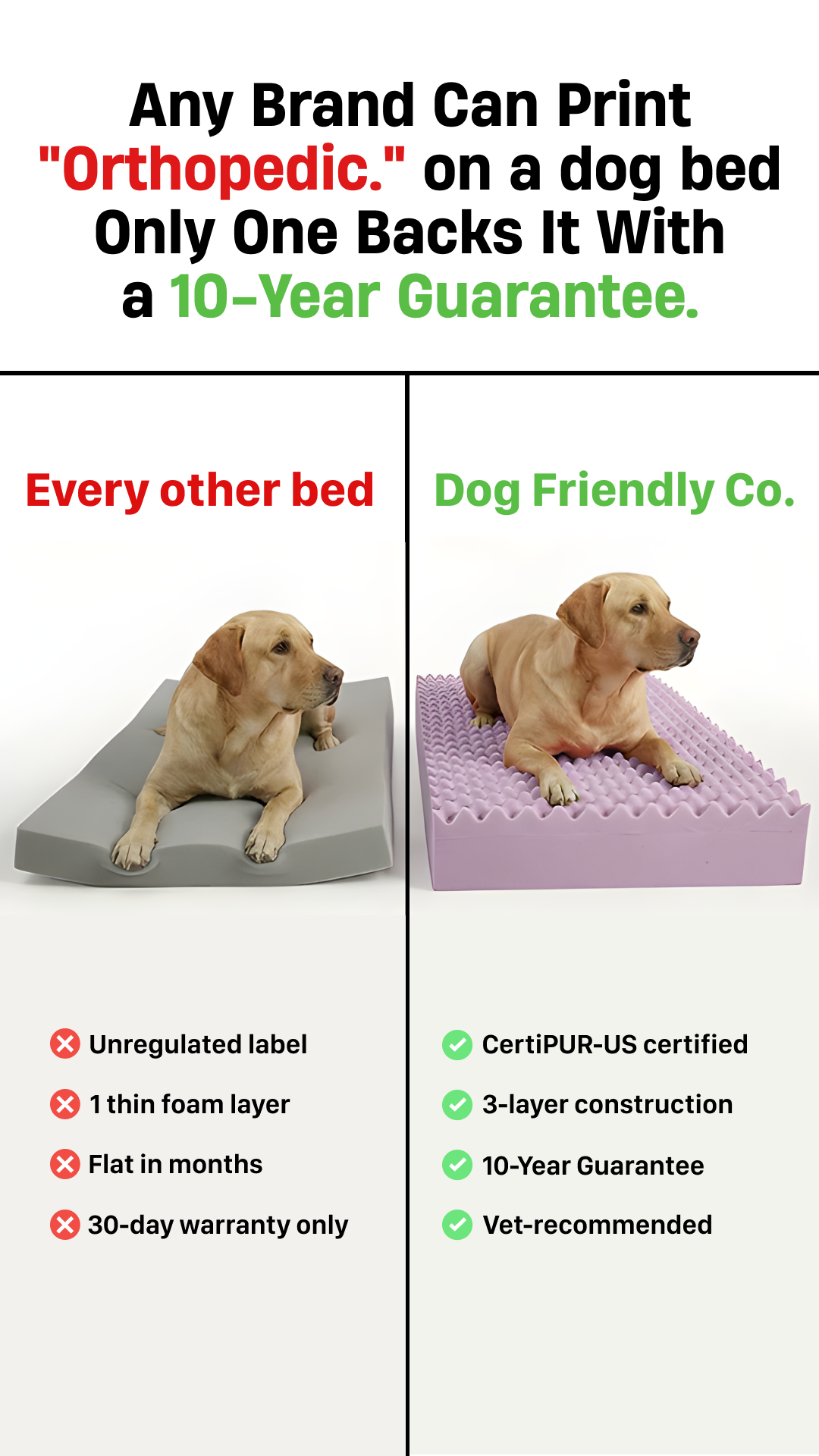 Dog Friendly Co. Facebook ad
