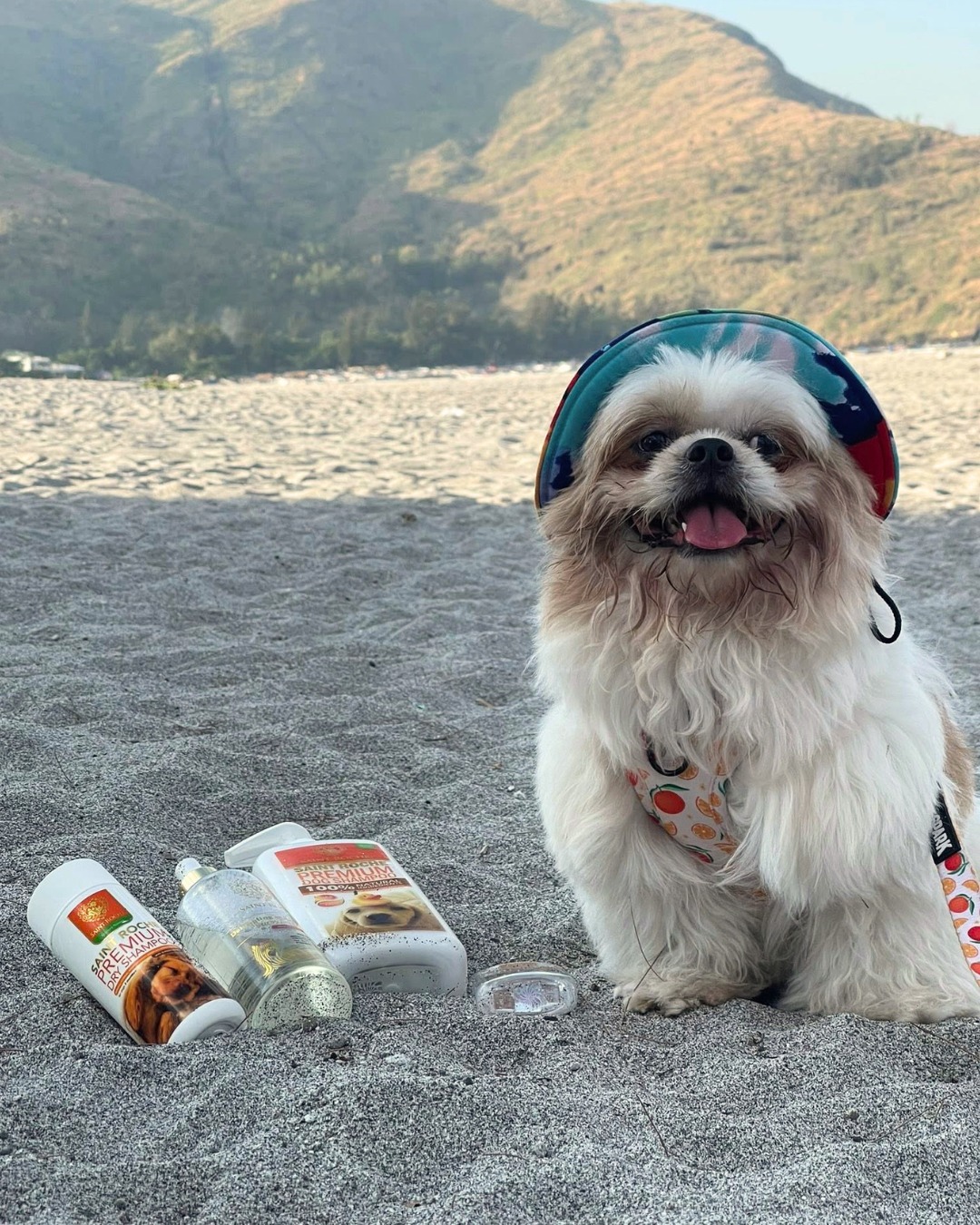 Saint Roche Premium Dog Shampoo Facebook ad