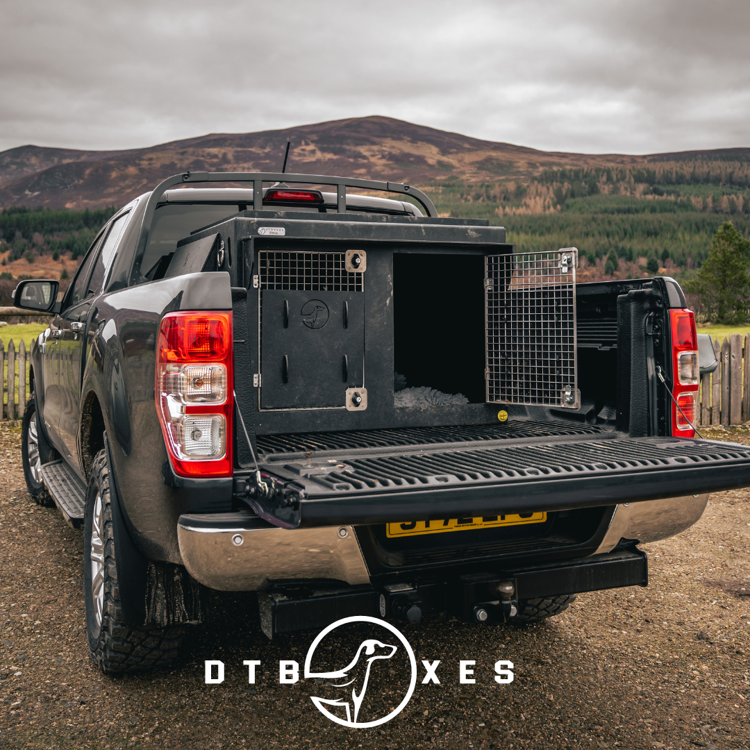 DT Boxes Facebook ad: Looking for a safe way for your dog…