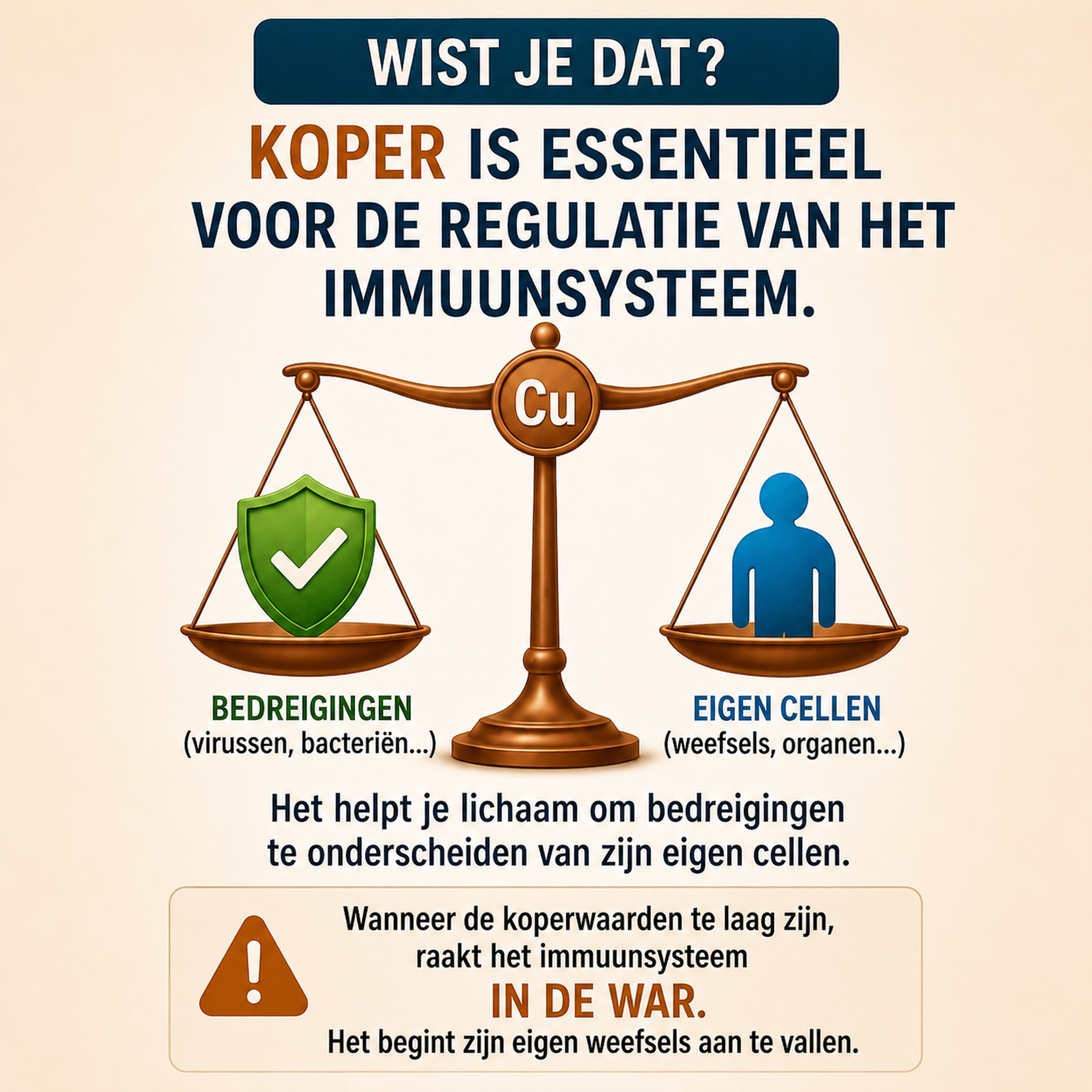 Luisa Bakker Facebook ad