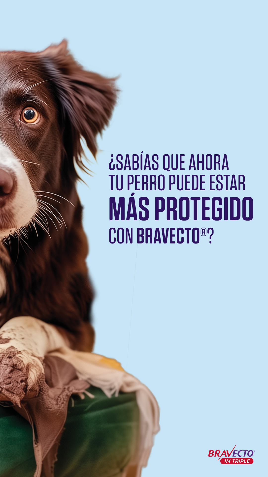 Bravecto LATAM Facebook ad