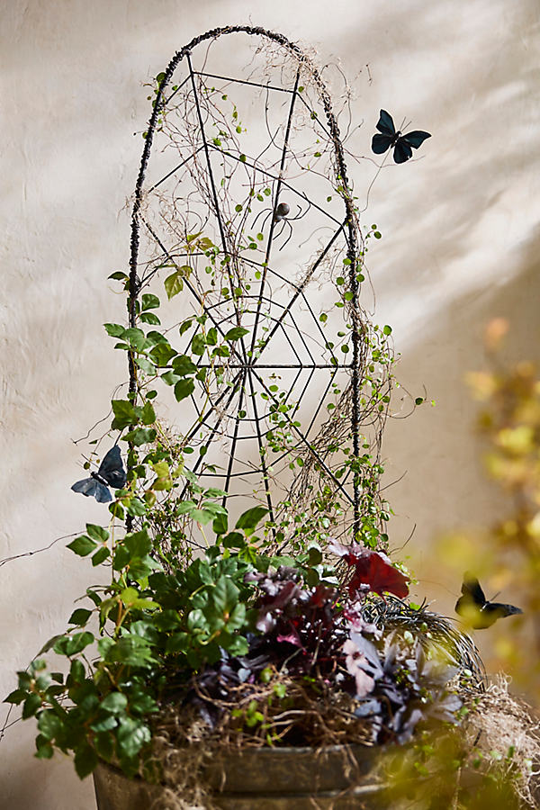 terrain Facebook ad: Seasonal garden + outdoor living essentials.