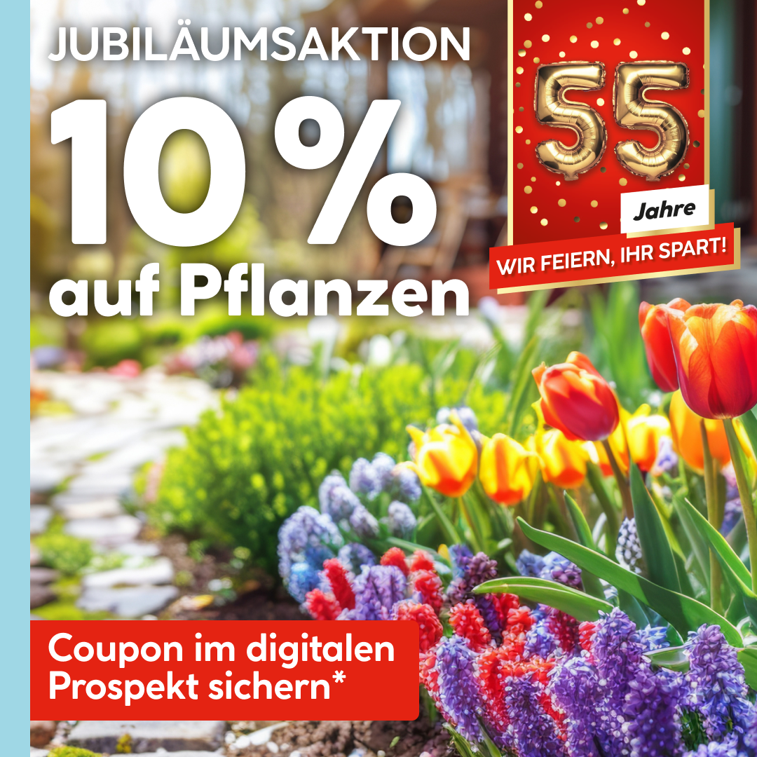 HELLWEG Die Profi-Baumärkte Facebook ad: 55 Jahre HELLWEG