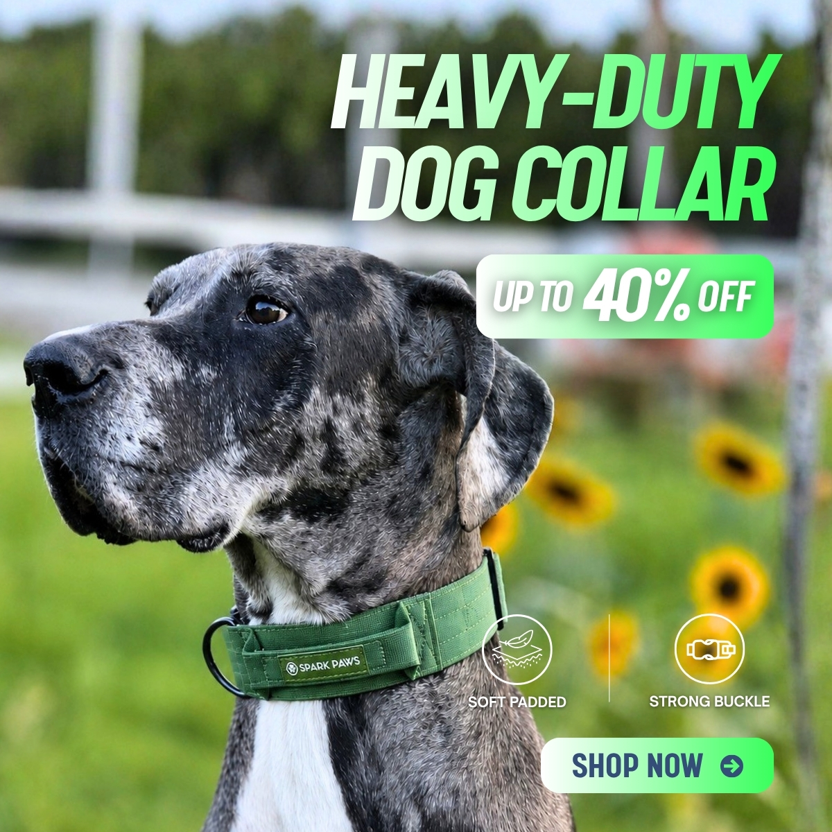 Spark Paws Facebook ad