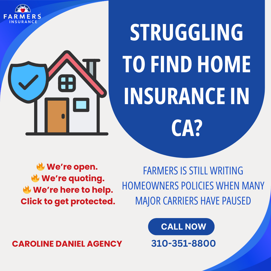 Caroline Daniel - Farmers Insurance Facebook ad: Protect Your Home