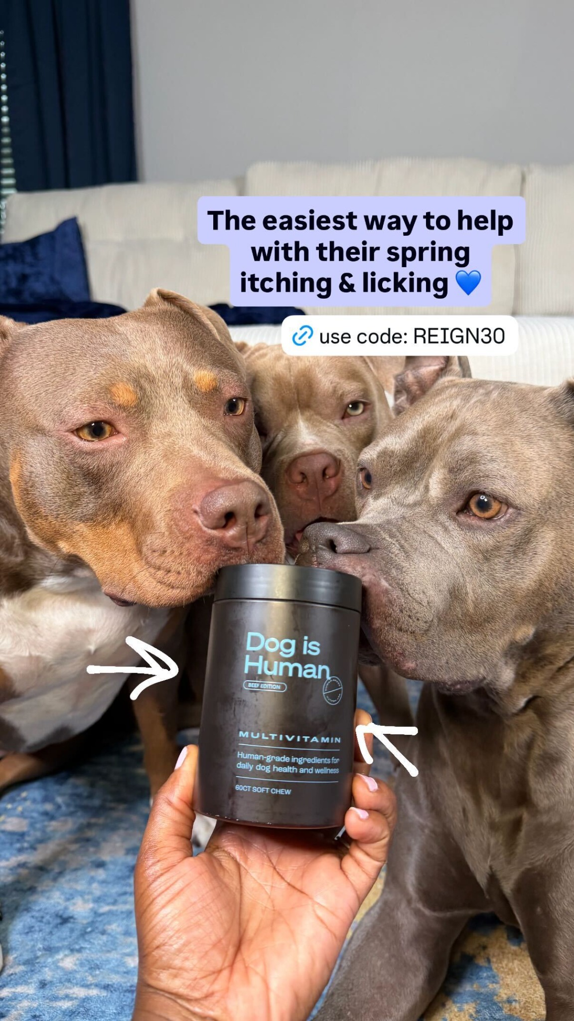 Dog is Human Facebook ad