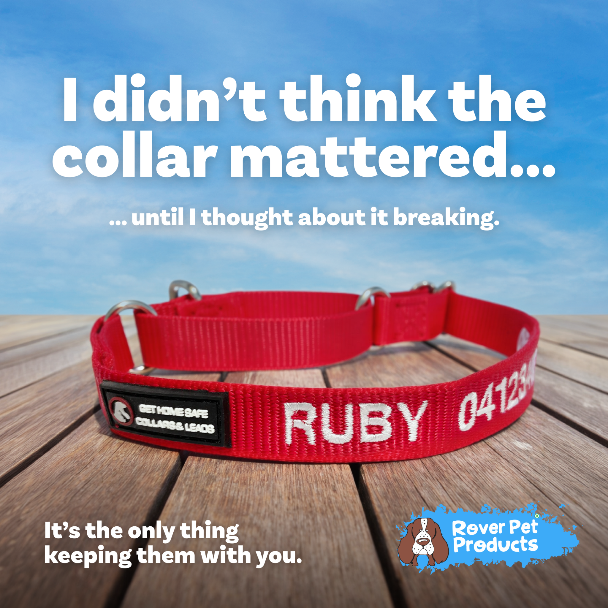 Rover Pet Products Facebook ad