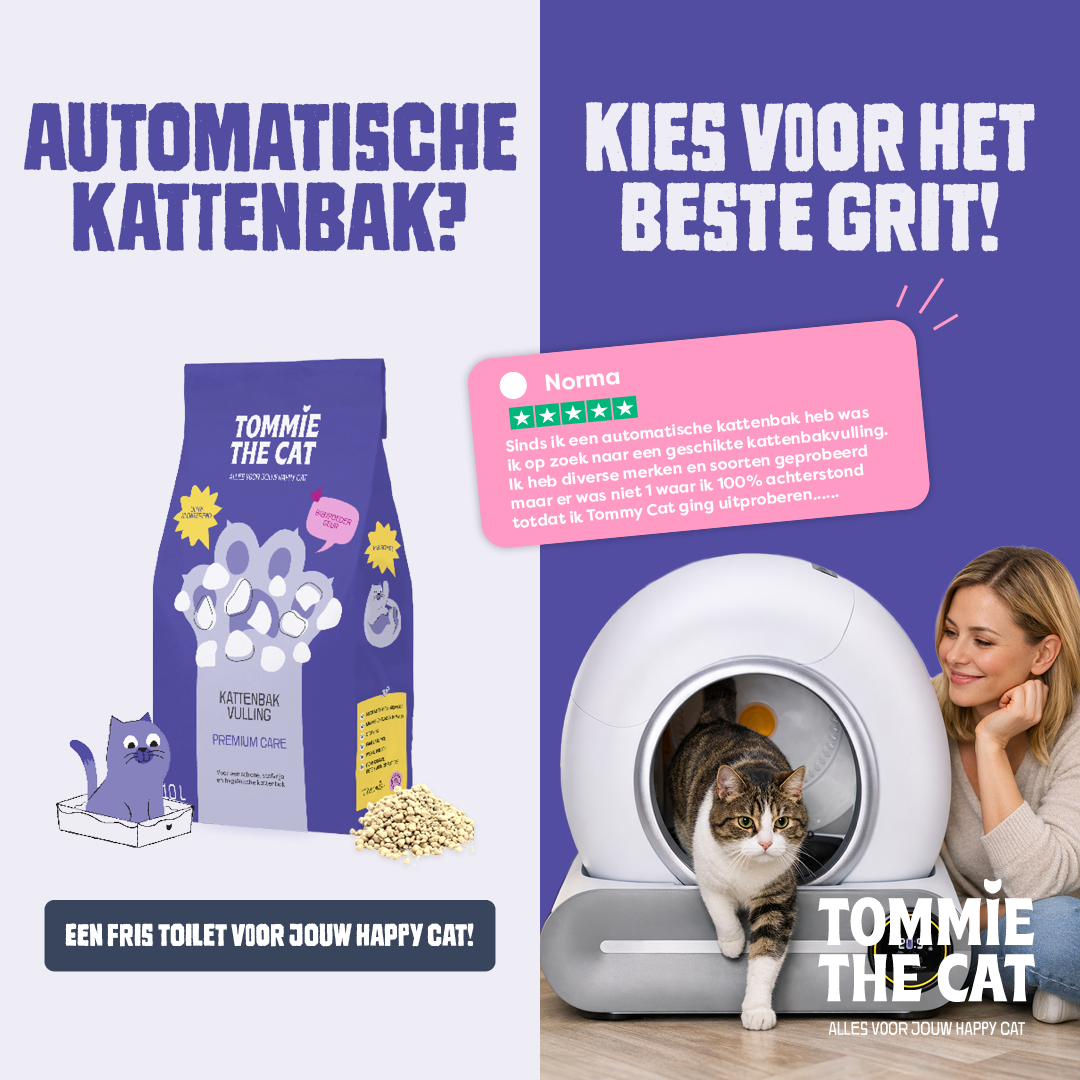 Tommie the Cat Facebook ad