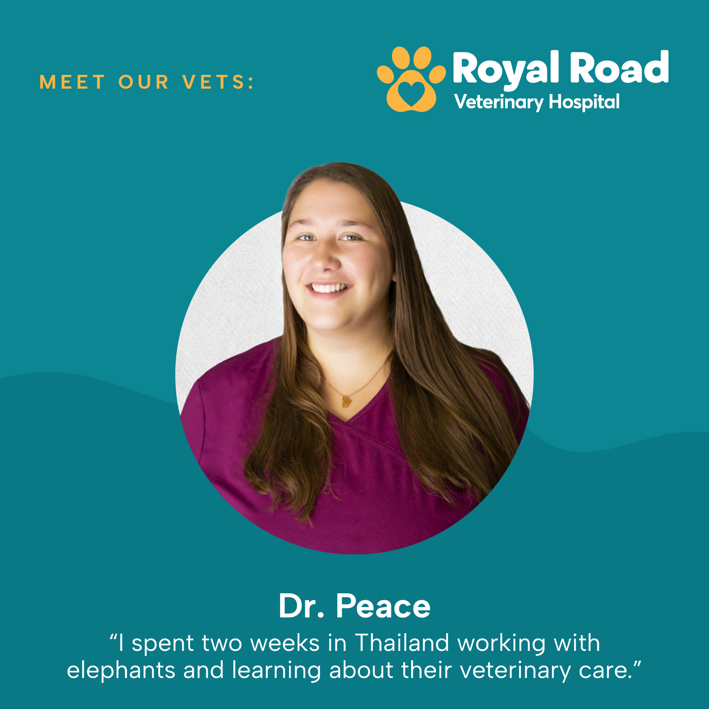 Royal Road Veterinary Hospital Facebook ad