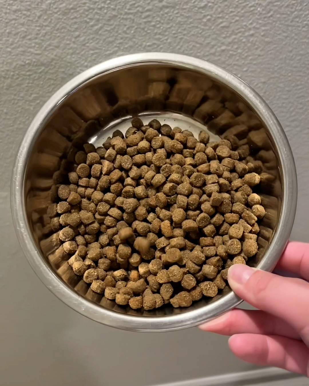 Ultimate Dog Parent Guide Facebook ad