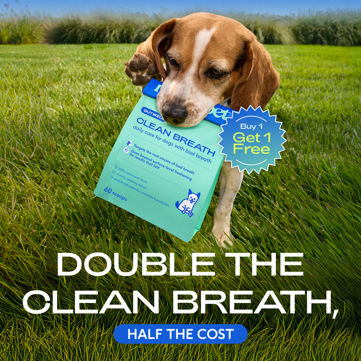 Native Pet Facebook ad