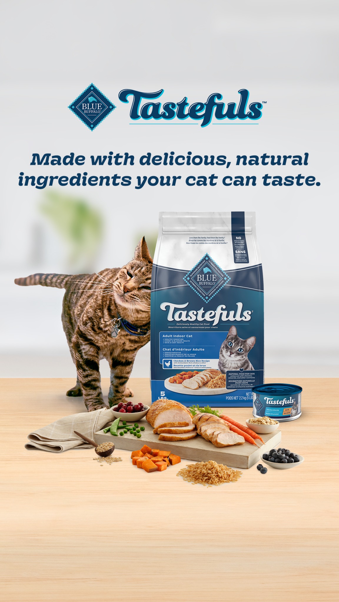 Blue Buffalo Facebook ad
