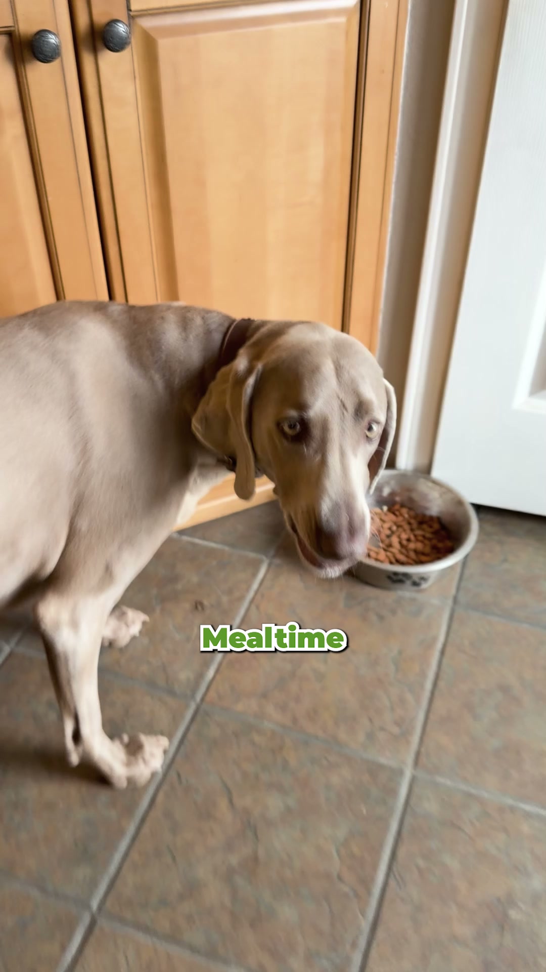 Only Natural Pet Facebook ad: Just Add Water. Real Food.