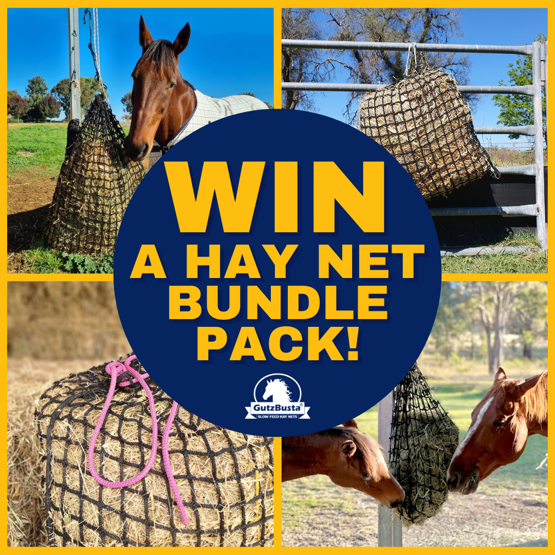 Gutzbusta Slow Feed Hay Nets USA Facebook ad: Hay net Bundle Pack Giveaway!