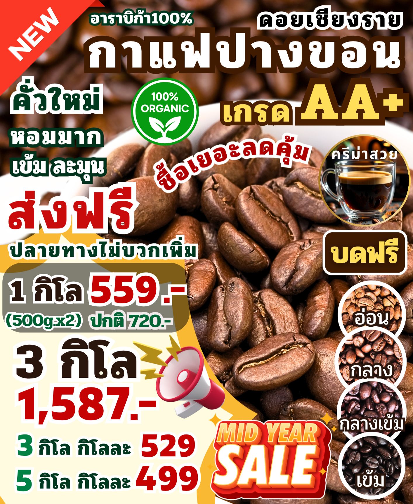 Doi Northern Premium Roasted Coffee กาแฟดอยเหนือพรีเมี่ยม Facebook ad: กาแฟดอยปางขอน เกรด AA+ เมล็ดใหญ่ คั่วใหม่