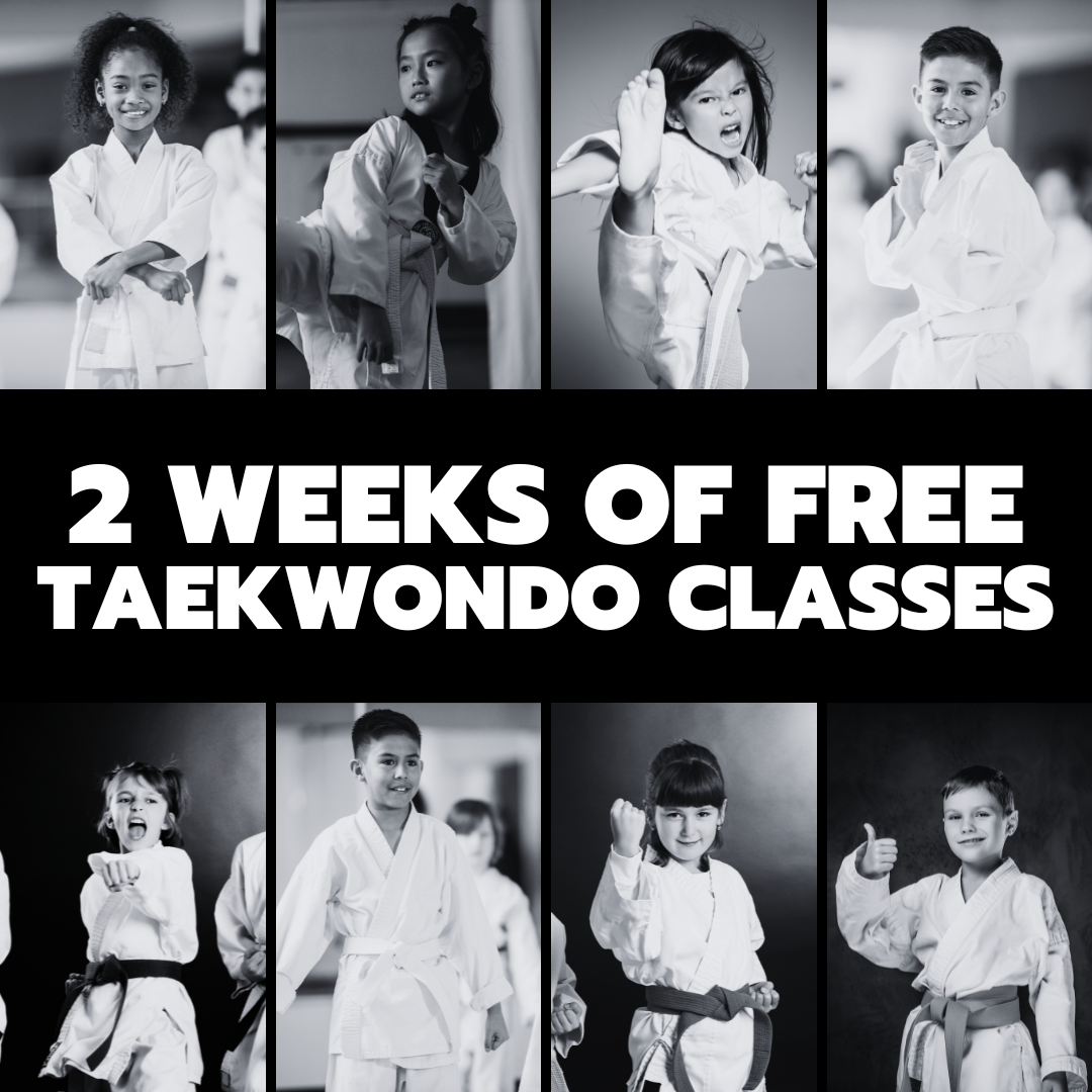 Master Lee's US Taekwondo Dartmouth Facebook ad