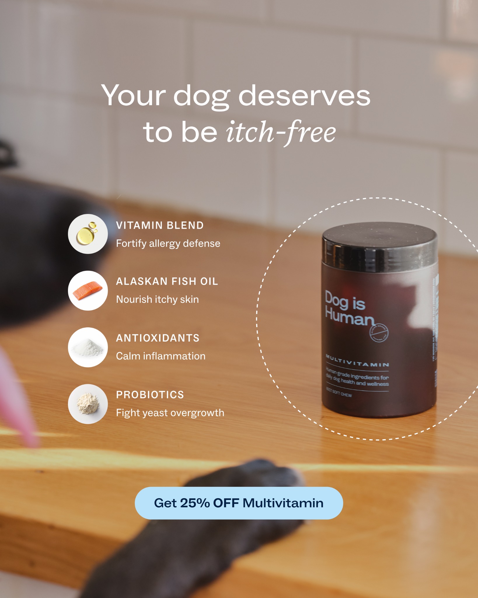 Dog is Human Facebook ad