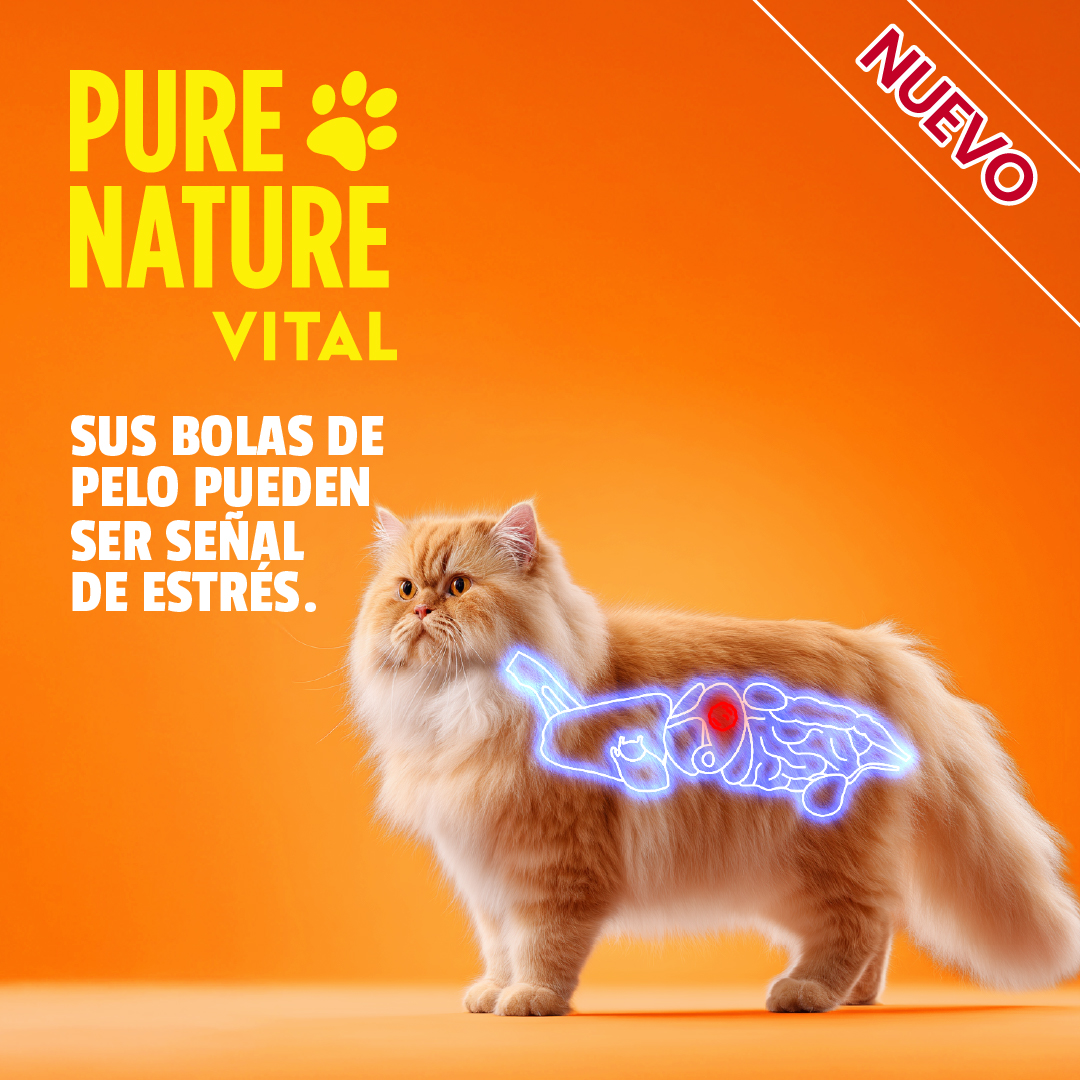 Pure Nature Facebook ad: Cuando tu gato arroja muchas bolas de pelo…