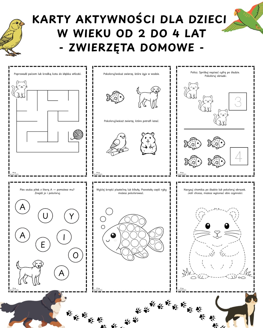 kartoo.pl Facebook ad: Nowość!