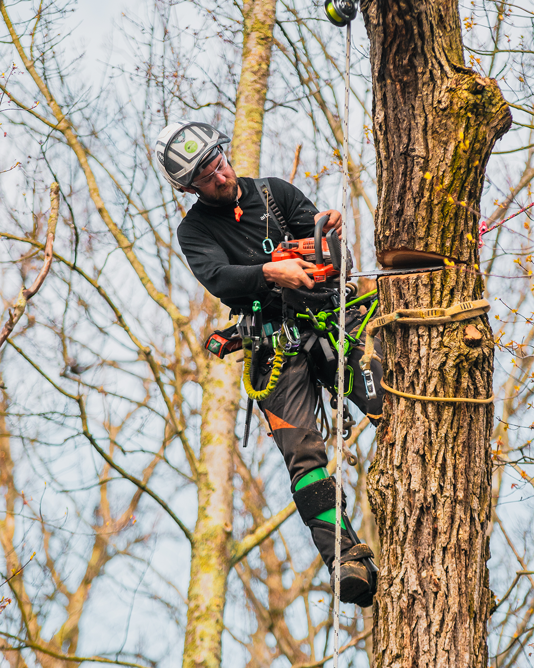Arborwood Tree Service Facebook ad: Serving Oakville to Niagara