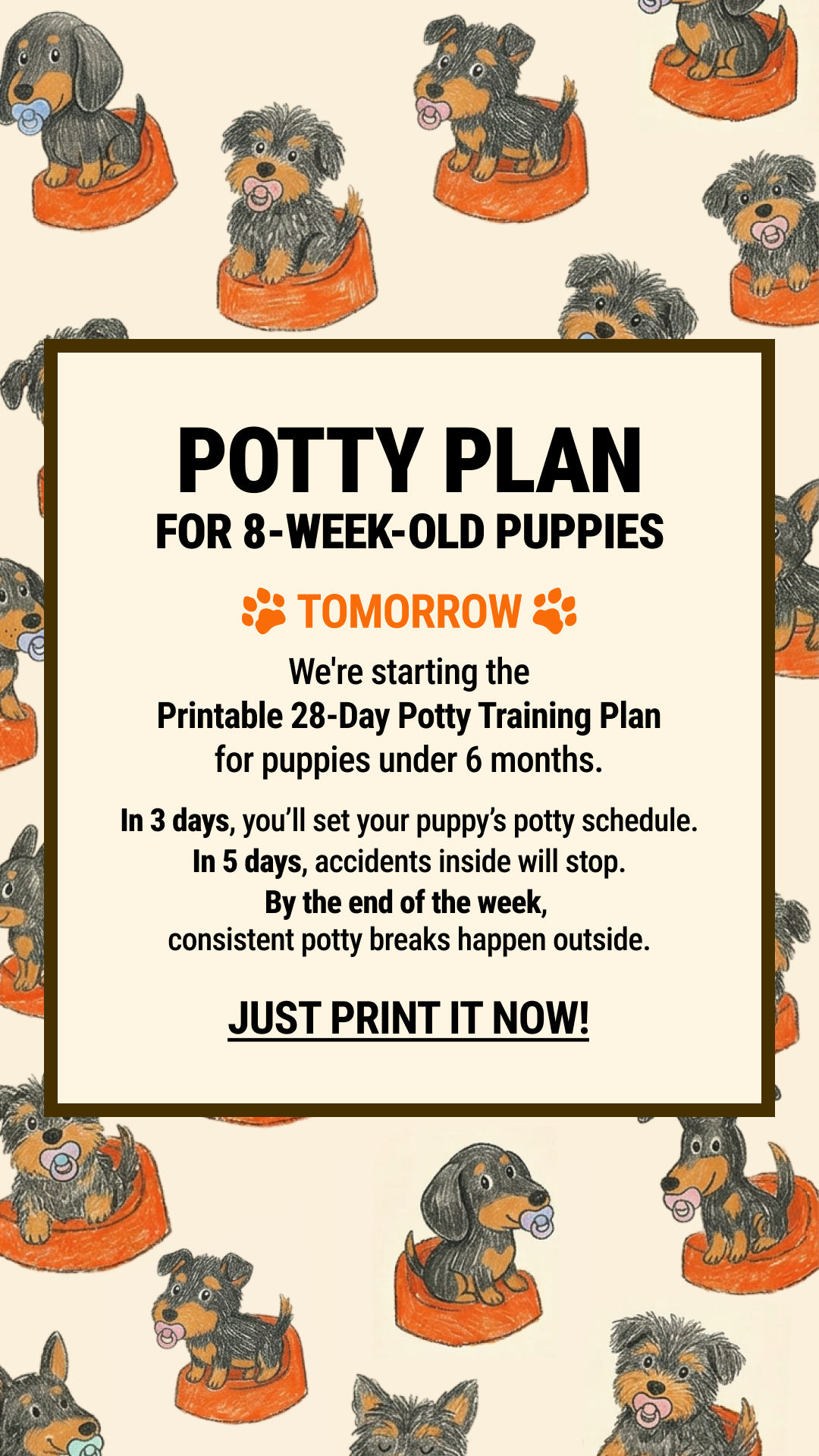 Woofz - Puppy Training Facebook ad