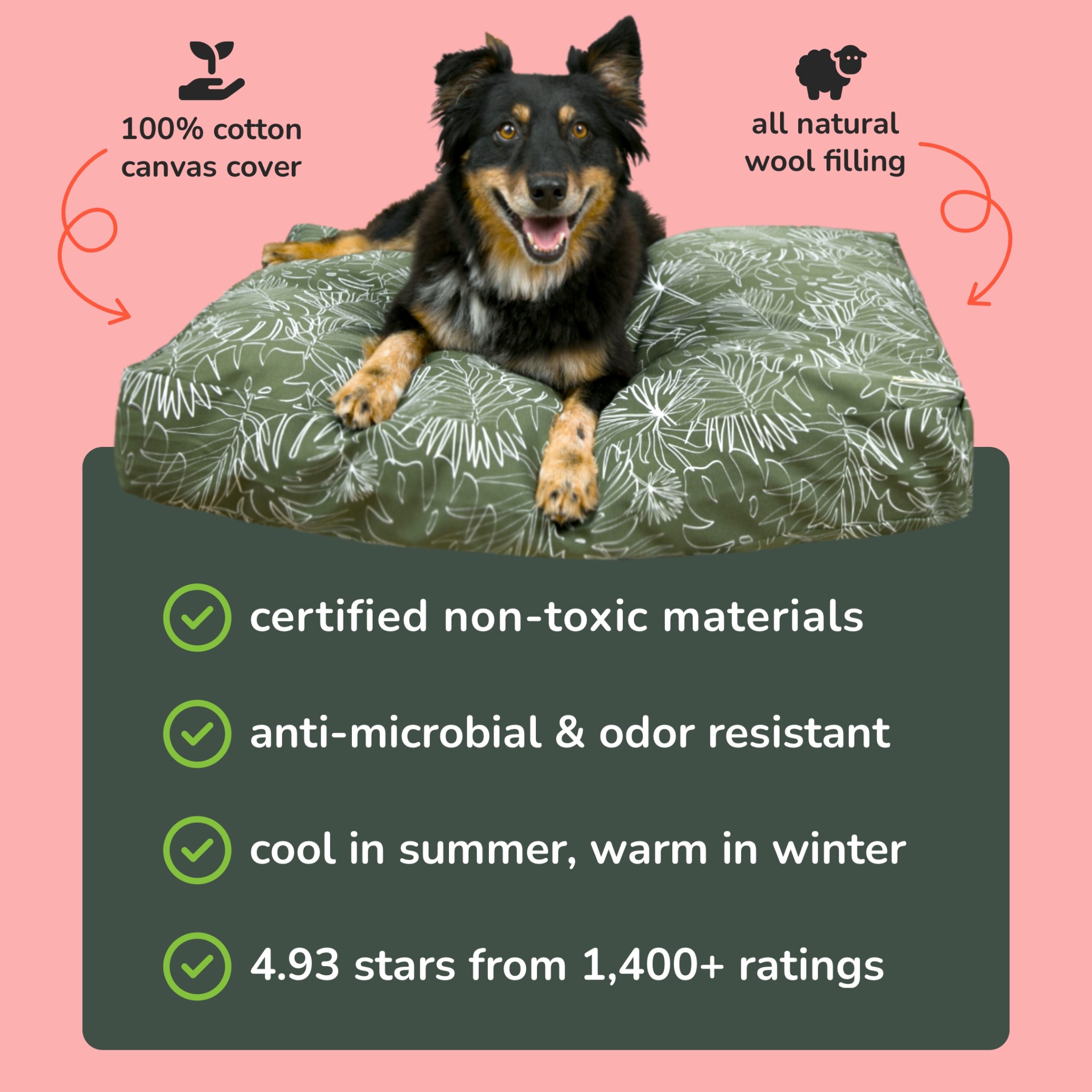 Molly Mutt Facebook ad