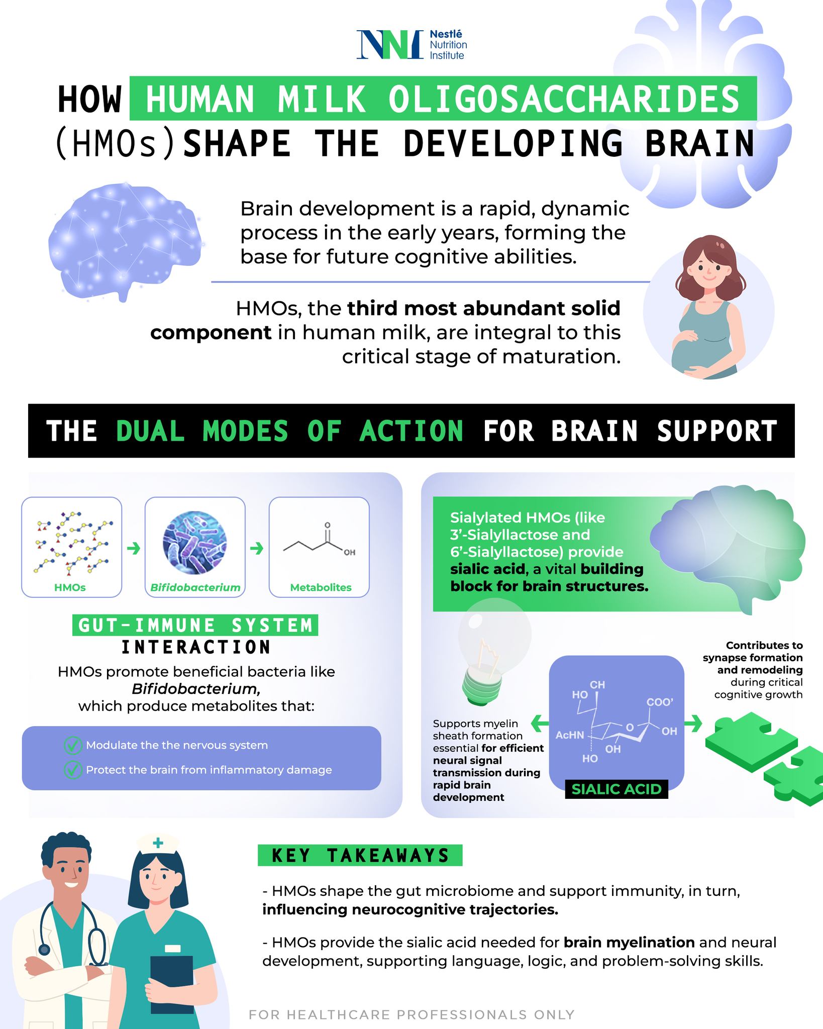 Nestlรฉ Nutrition Institute Facebook ad: How do HMOs shape the developing brain?โ