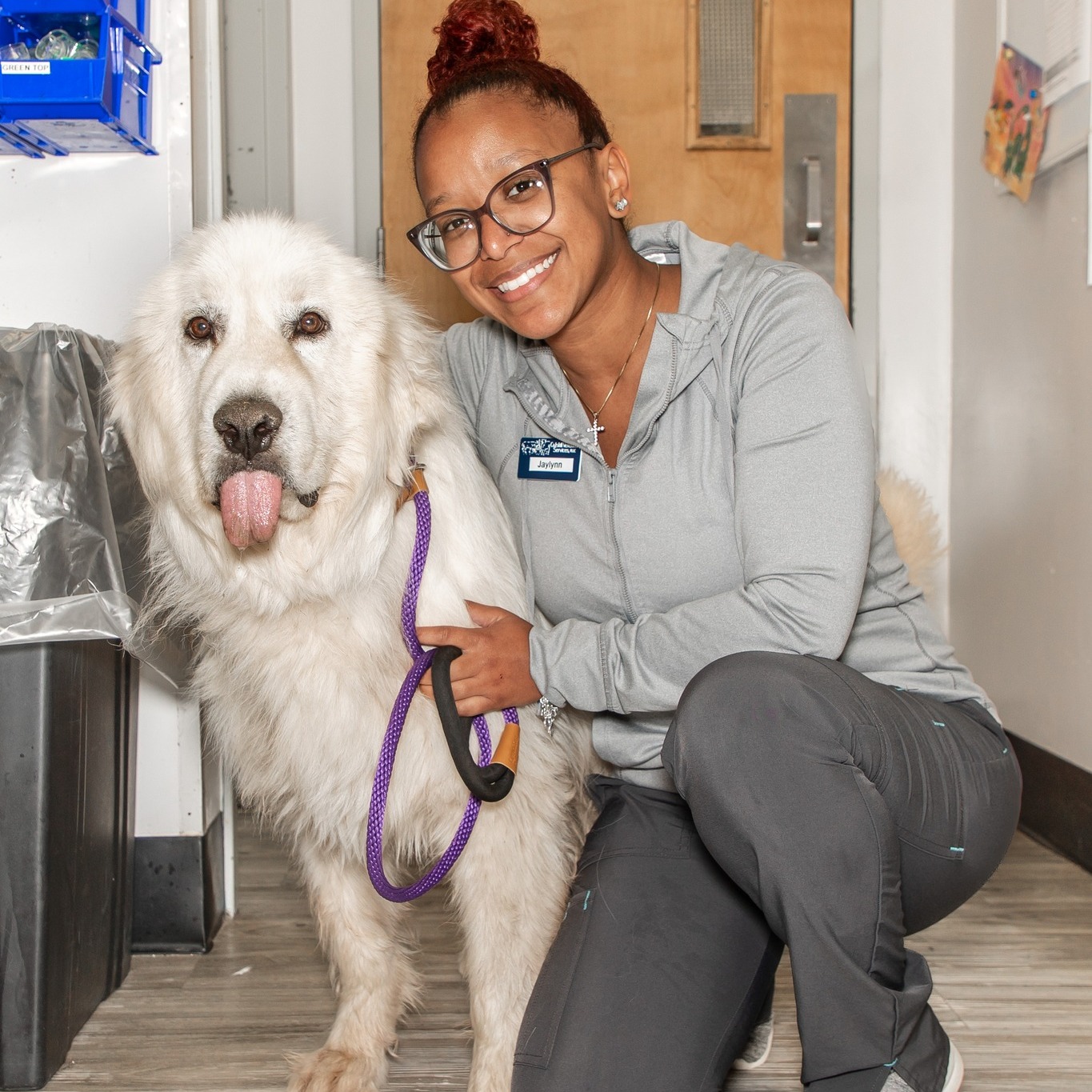 Catskill Veterinary Services, PLLC Facebook ad: When your furry (or feathered) family member needs…