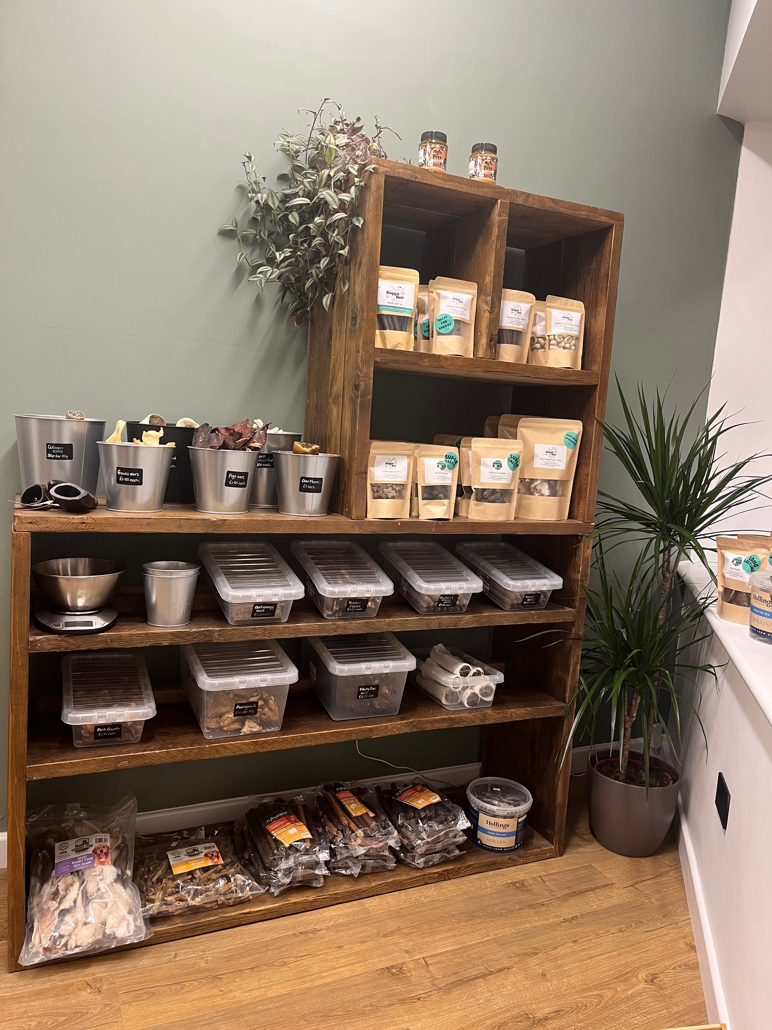 The Doggie Deli at Pampered Paws Walton  Facebook ad