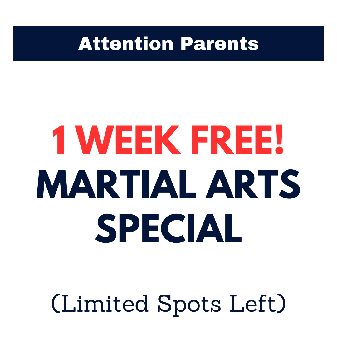 Next Level Martial Arts Facebook ad