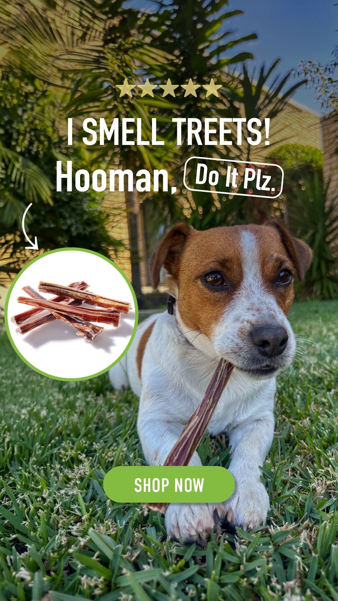 CLEAR Dog Treats Facebook ad